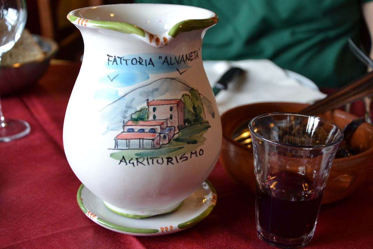 Fattoria Alvaneta 帕杜拉 外观 照片