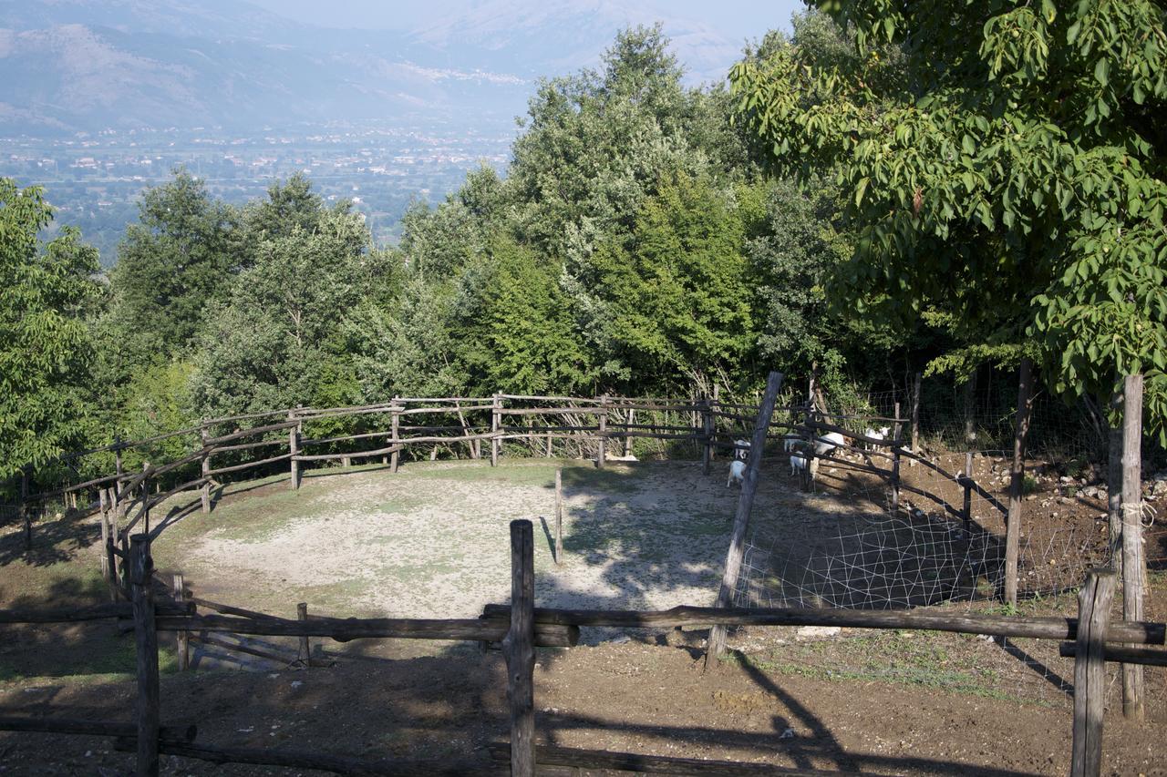 Fattoria Alvaneta 帕杜拉 外观 照片