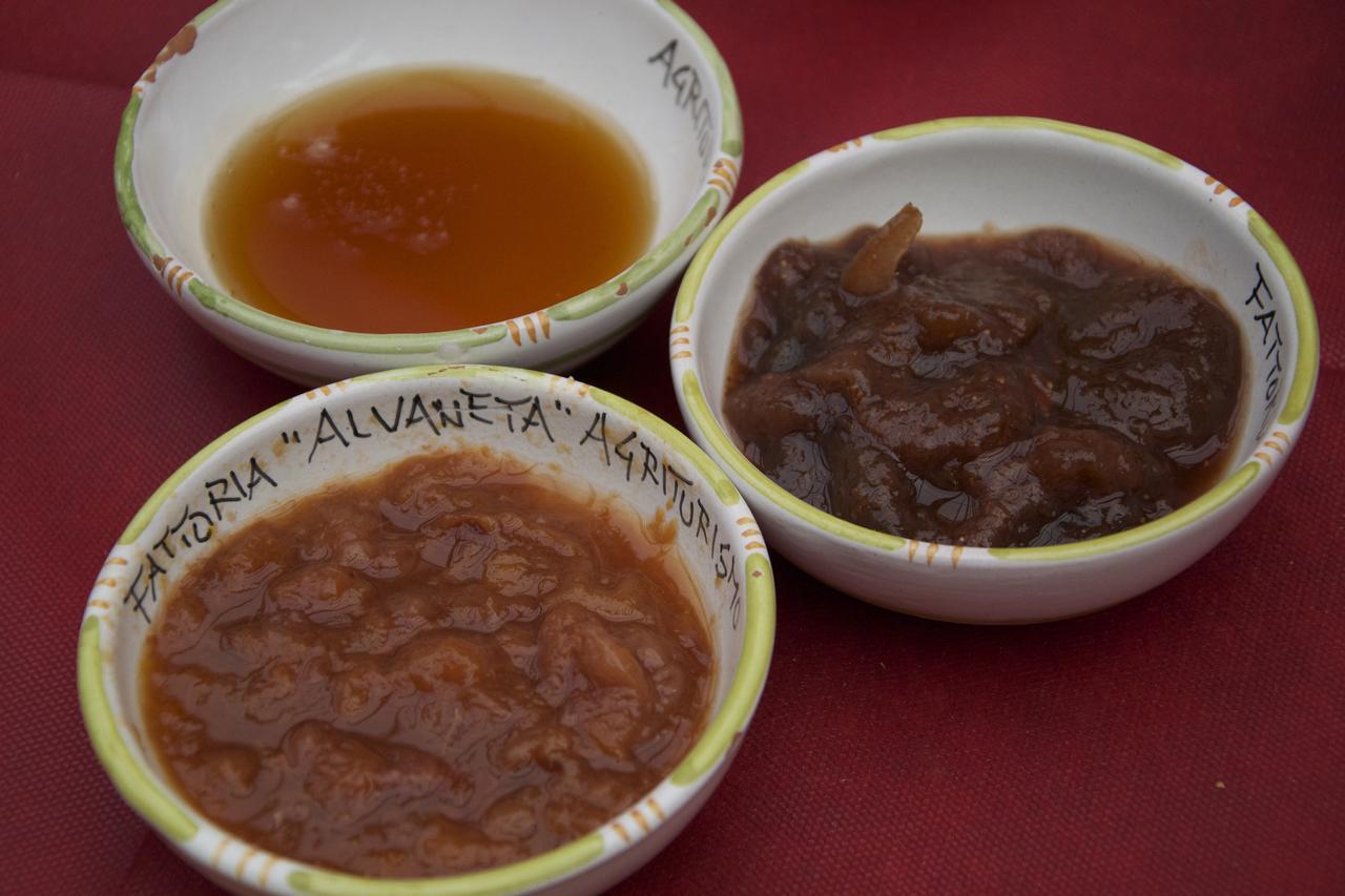 Fattoria Alvaneta 帕杜拉 外观 照片